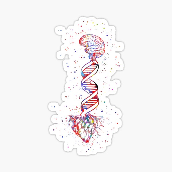 Item preview, Heart and brain, DNA, DNA molecule, Heart anatomy, brain watercolor designed and sold by Rosaliartbook.