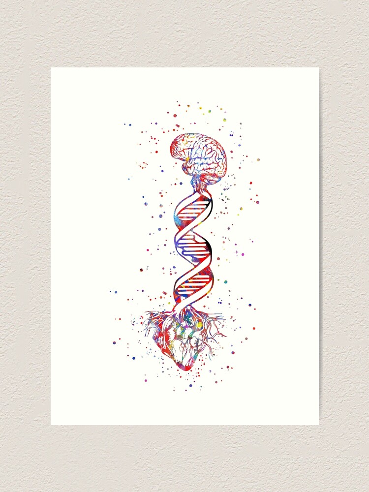 DNA / SCATTER THE BRAIN ジャパメタ VIRUS DNA Scatter the brain CD 未開封 (X/virus/ヴァイラス/VOLCANO