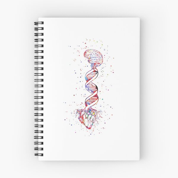 Item preview, Heart and brain, DNA, DNA molecule, Heart anatomy, brain watercolor designed and sold by Rosaliartbook.