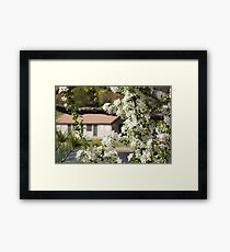 Spring Blossoms Framed Print