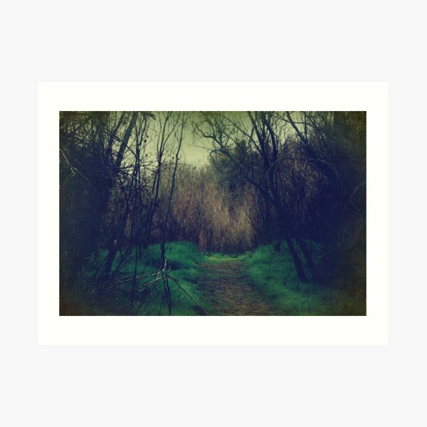 Disappearance Art Print