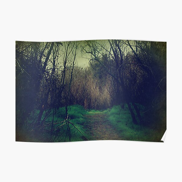 Disappearance Poster