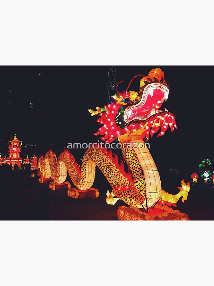 chinese lantern dragon