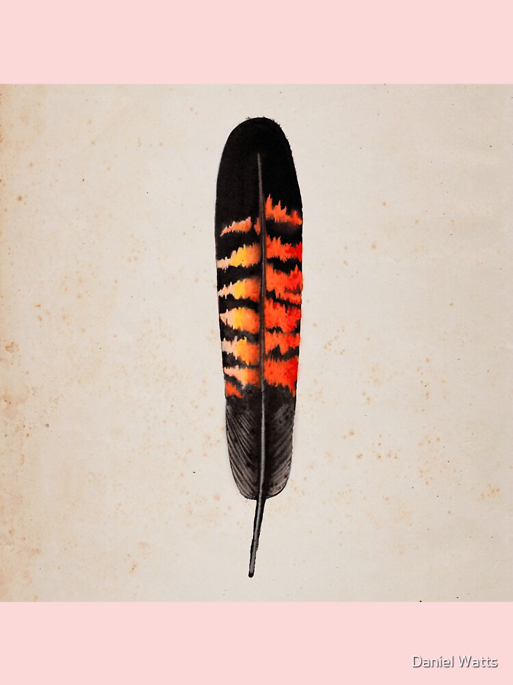 Redtail Tiger Feather Hair Clip - Vera Black