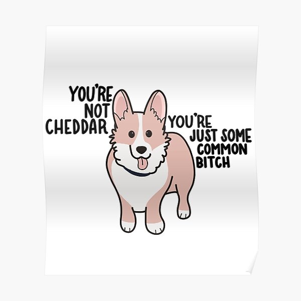 Not Cheddar Poster