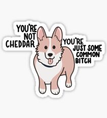 Not Cheddar Sticker