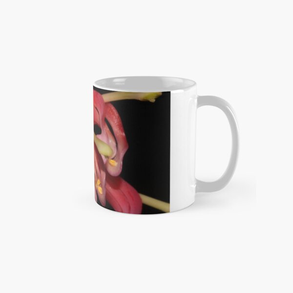 Grevillea latifolia Classic Mug