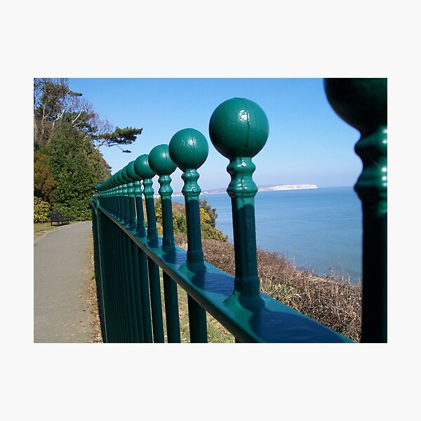 Knobby View Photographic Print