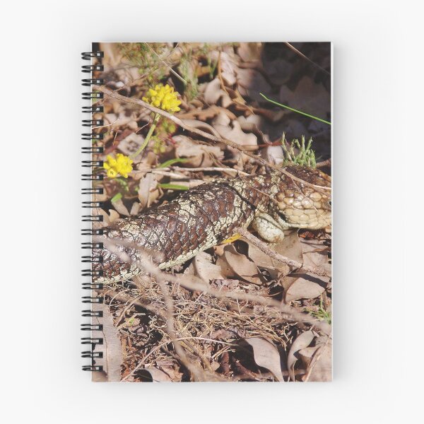 Item preview, Australian Blue-tongued Lizard designed and sold by lezvee.