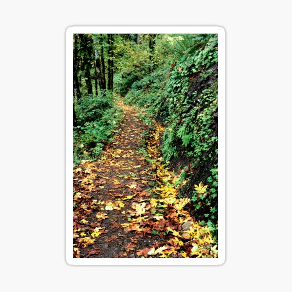 Item preview, FallTrail  designed and sold by jklune.
