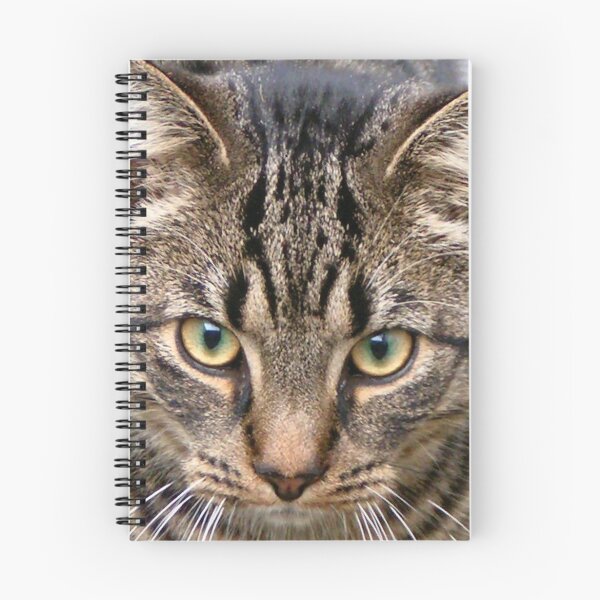 Item preview, Cat visit back yard. designed and sold by patjila.