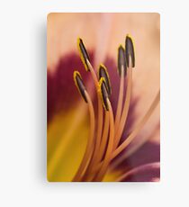 Stamens Metal Print