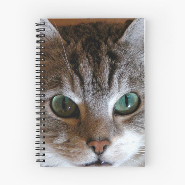 Item preview, Cat in box: I see you! designed and sold by patjila.