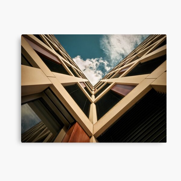 ~V~ Canvas Print