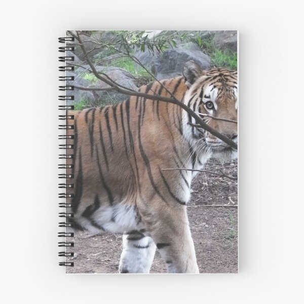 Item preview, Tiger Eyes designed and sold by Martina Nicolls.