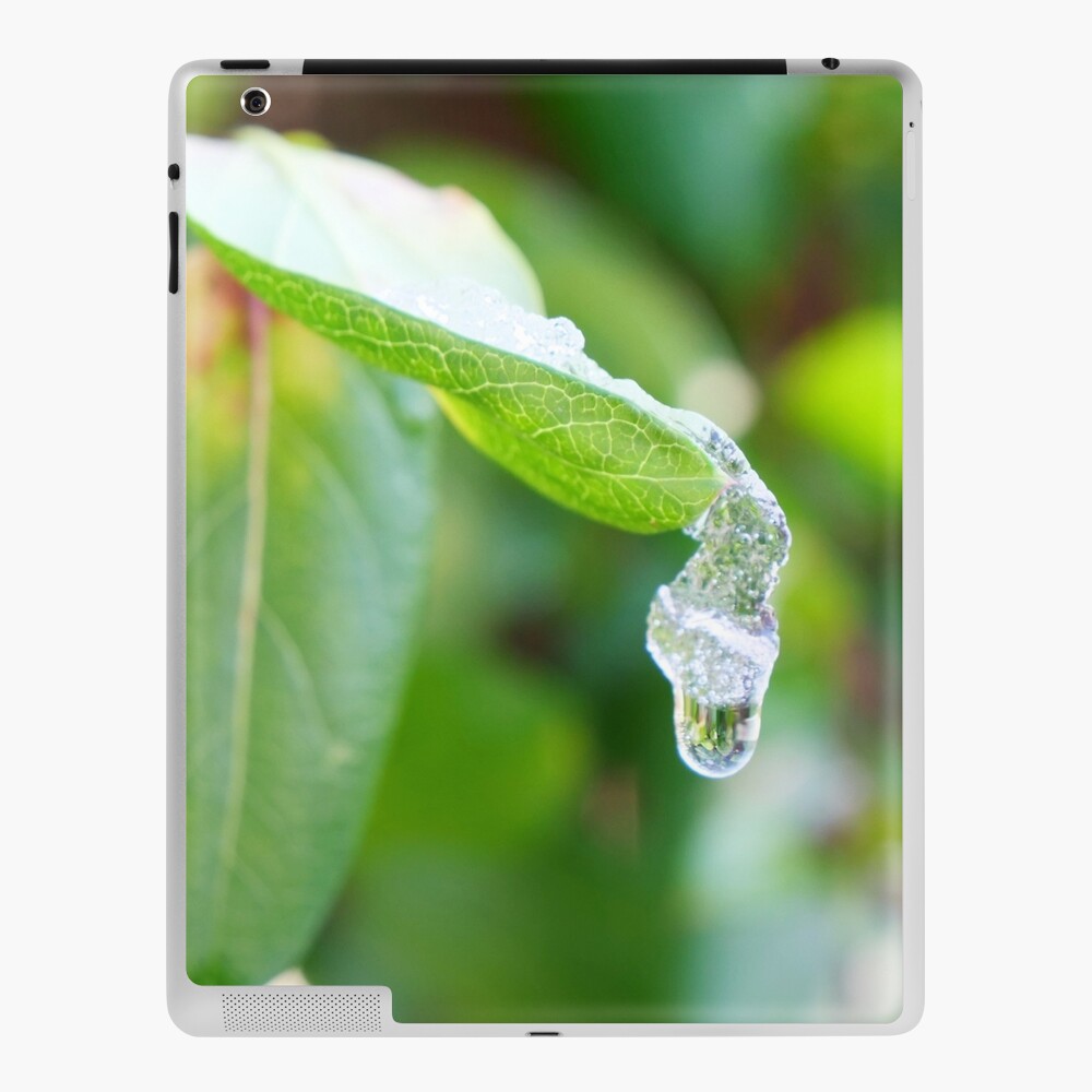 Item preview, iPad Skin designed and sold by santoshputhran.