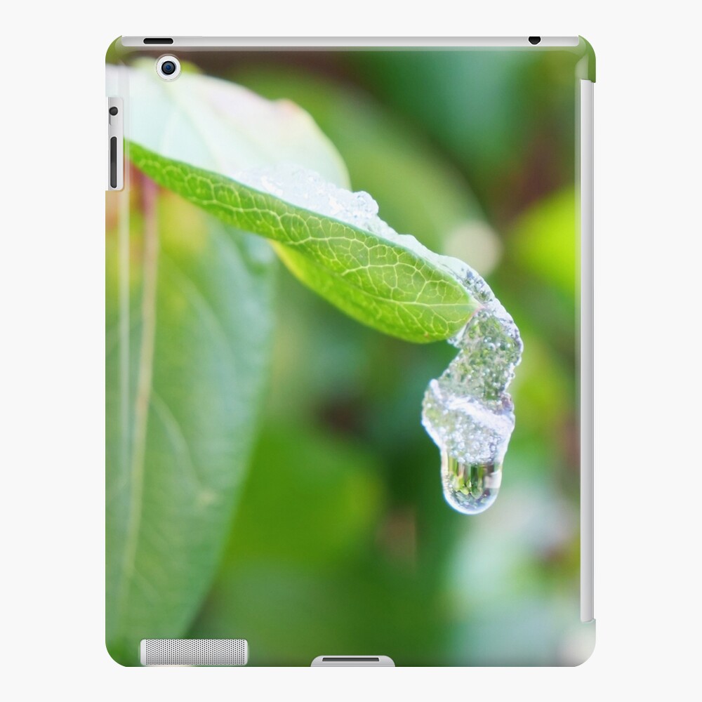 Item preview, iPad Snap Case designed and sold by santoshputhran.