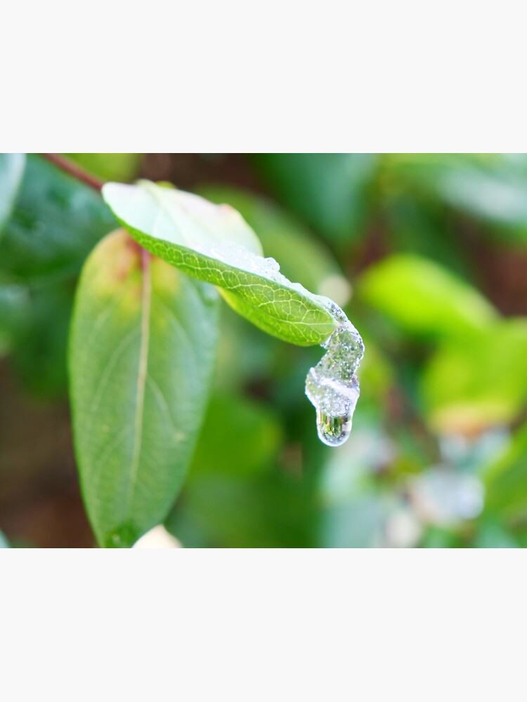 Thumbnail 3 of 3, Sticker, Let the rain kiss you designed and sold by santoshputhran.