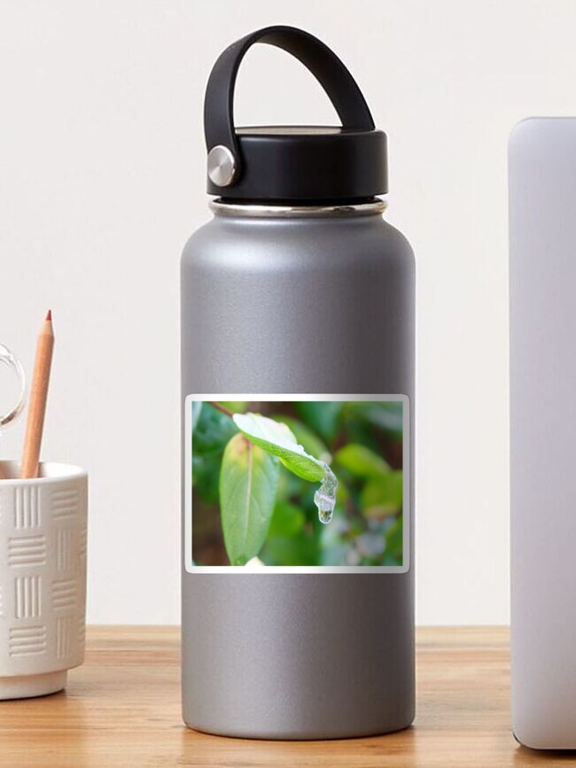 Thumbnail 1 of 3, Sticker, Let the rain kiss you designed and sold by santoshputhran.