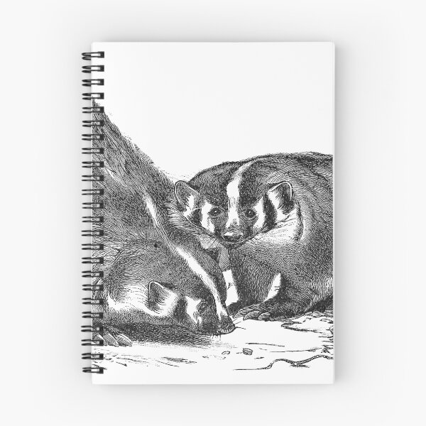 Item preview, Illustration of the american badger designed and sold by marmur.