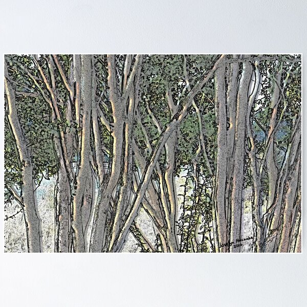 Light in the Crepe Myrtles Poster