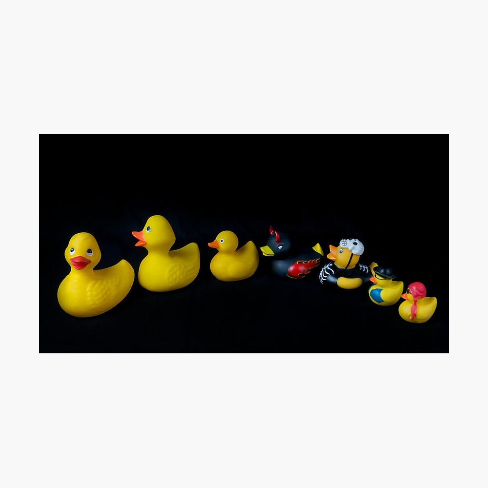 follow me ducky toy