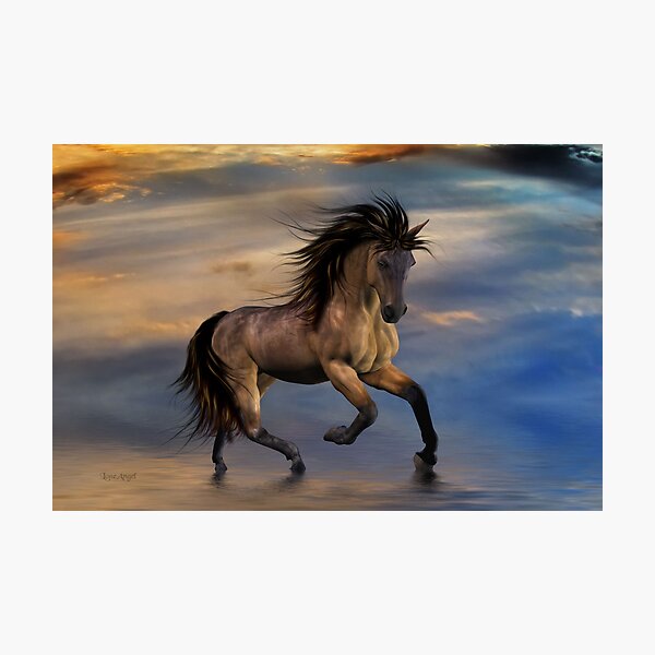 Cosmic .. Wild Stallion Photographic Print