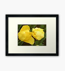 Rain drops Framed Print