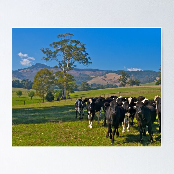 Item preview, Expensive farmland at Mt Worth, Victoria designed and sold by johnrf.