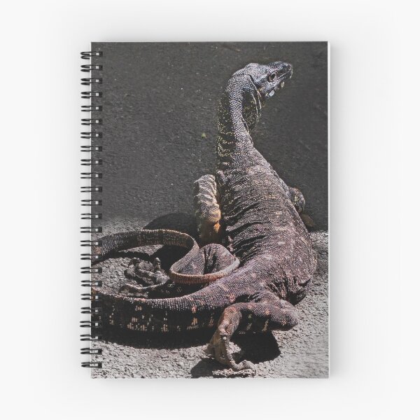 Item preview, Old Man Goanna designed and sold by sunrisecoast.