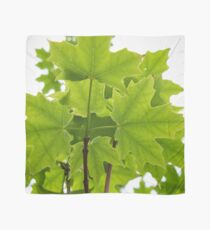 Sugar Maple Leaves Scarf