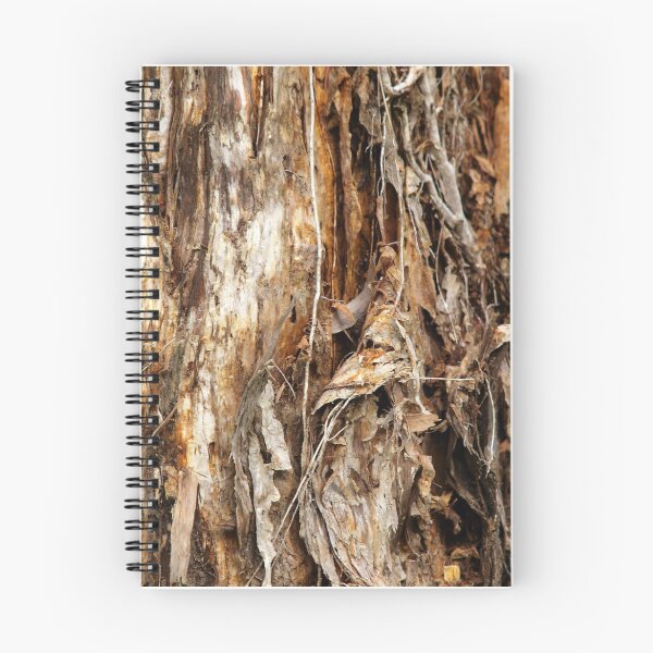 Item preview, Paper Bark Tree designed and sold by W E NIXON  PHOTOGRAPHY.