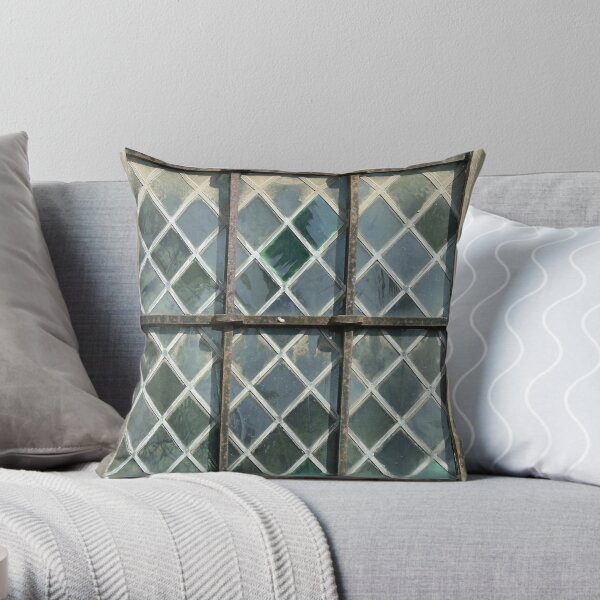 Window panes Throw Pillow