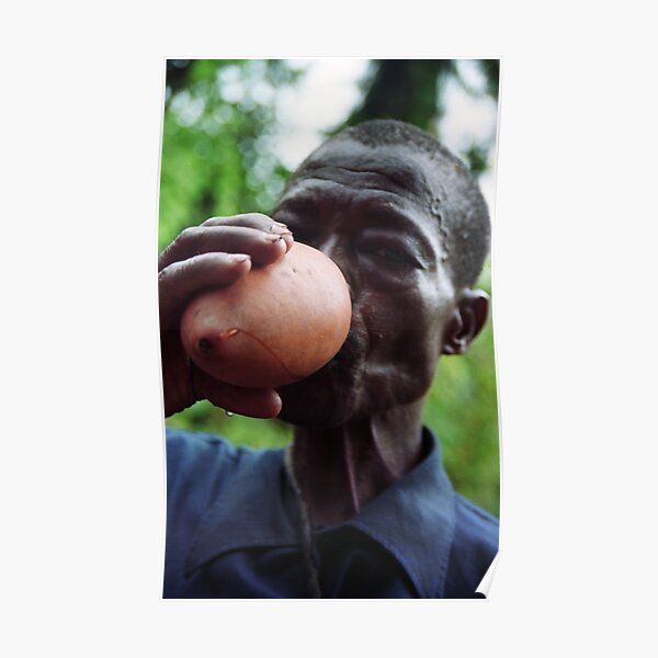 Gulping down the palm-wine from the gourds Poster