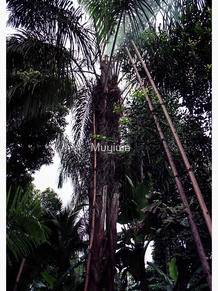 Thumbnail 3 of 3, Journal, Palm Tree In The Forest designed and sold by Muyiwa.