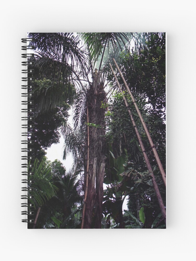 Thumbnail 1 of 3, Journal, Palm Tree In The Forest designed and sold by Muyiwa.