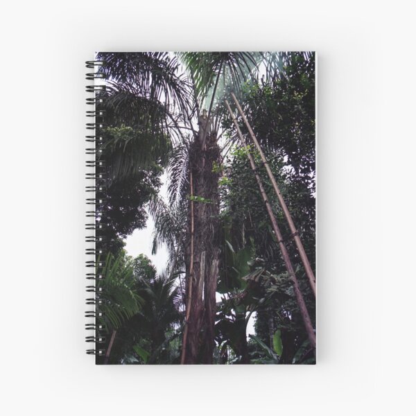 Palm Tree In The Forest Spiral Notebook