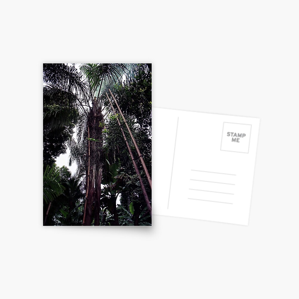 Item preview, Postcard designed and sold by Muyiwa.