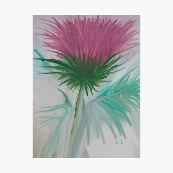 Wee Scoatish Thistle or miby look alike:( Photographic Print