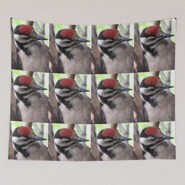 Item preview, Woodpecker Closeup IV designed and sold by ArtOfE.