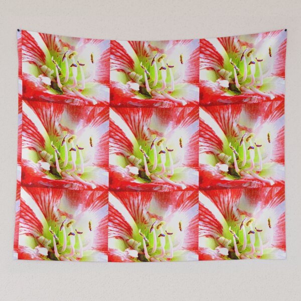 Aperçu de l'œuvre Amaryllis No 40 créée et vendue par ArtOfE.