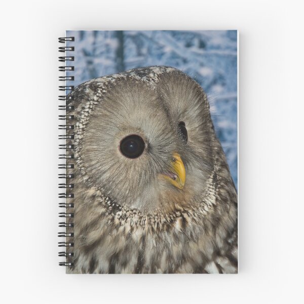 Item preview, Ural Owl designed and sold by clgcreativearts.