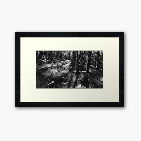 Black Woods of Rannoch Framed Art Print