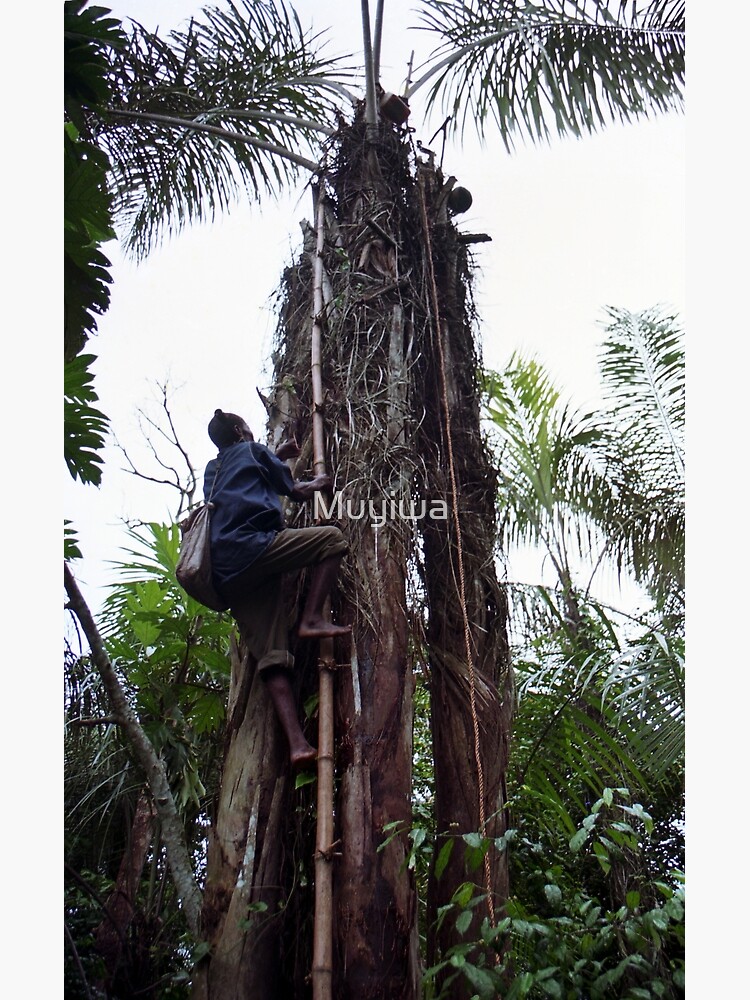 Thumbnail 3 of 3, Photographic Print, Climbing Palm Wine Tree designed and sold by Muyiwa.