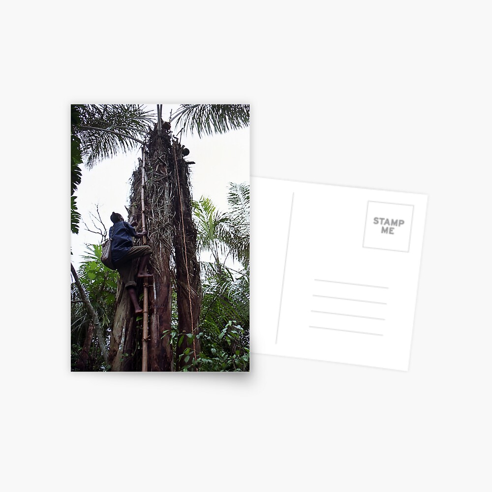Item preview, Postcard designed and sold by Muyiwa.