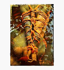 sitting Photographic Print