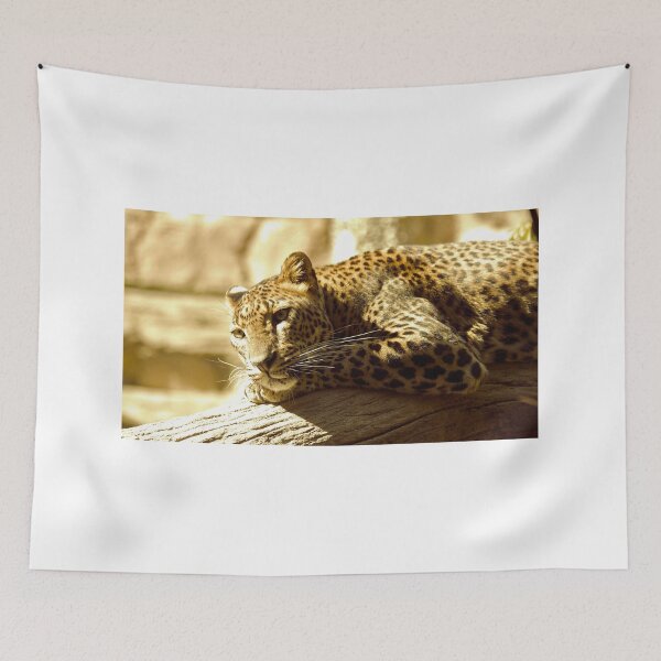 Artikelvorschau, Lazy Leopard entworfen und verkauft von Claire-C.