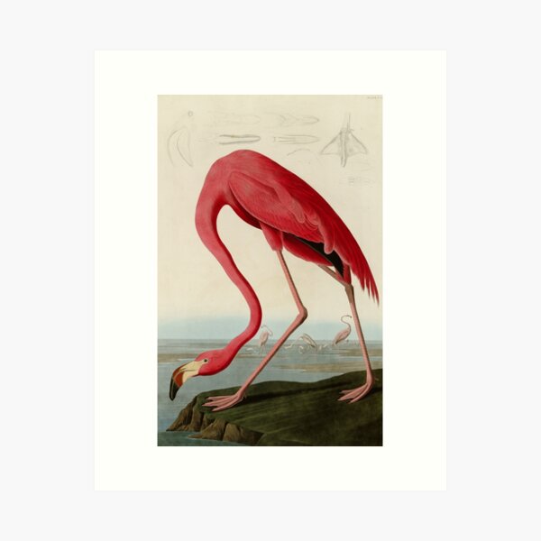 Flamingo With High Leather Boots And Mask Canvas Painting Modern