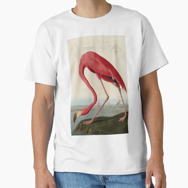 Item preview, American Flamingo by John James Audubon, Vintage Illustration designed and sold by Vintage Wall Art.