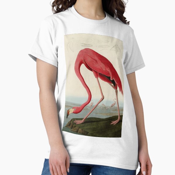 Item preview, American Flamingo by John James Audubon, Vintage Illustration designed and sold by Vintage Wall Art.